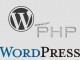 在WordPress文本小工具中运行PHP代码